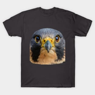 Eyes of the Peregrine T-Shirt